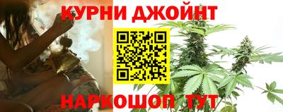 гидра Ливны