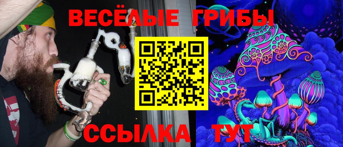 Псилоцибиновые грибы прущие грибы Дмитров