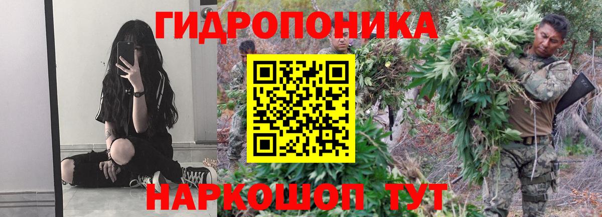 Канабис OG Kush Дмитров